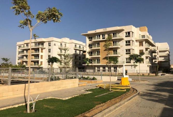 7893195 - صورة العقار 3