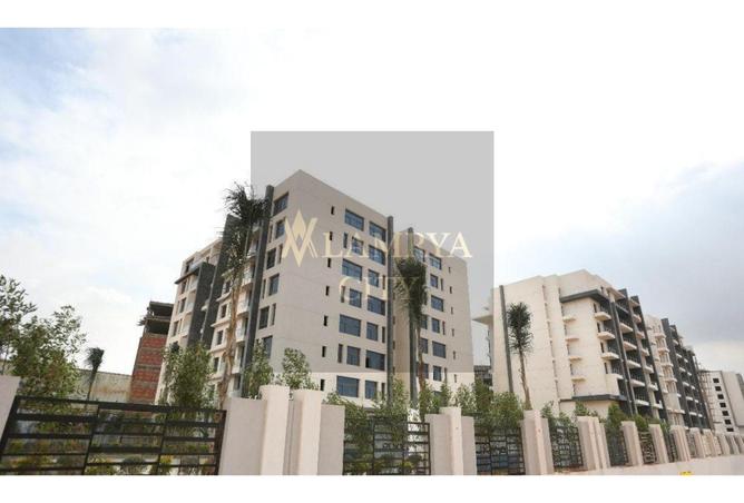 8383880 - Property Image 2