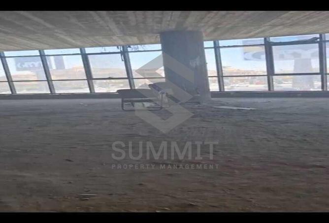 8081181 - صورة العقار 3