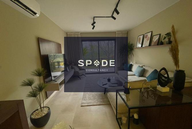 7918524 - Property Image 2