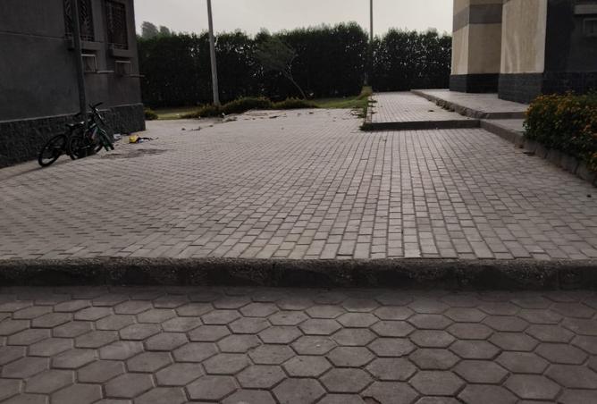 8454852 - Property Image 3