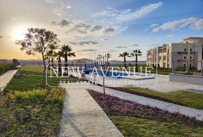 8204728 - صورة العقار 2