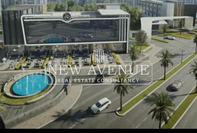 8386127 - Property Image 3