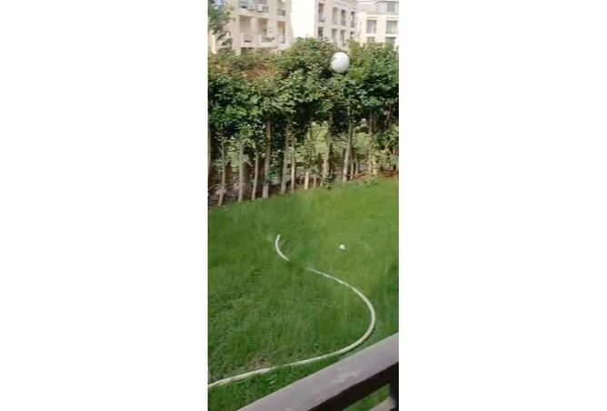 8175613 - صورة العقار 3