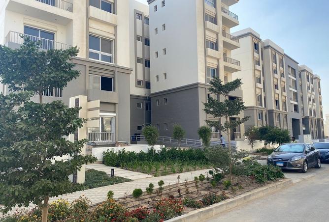 8403096 - Property Image 3