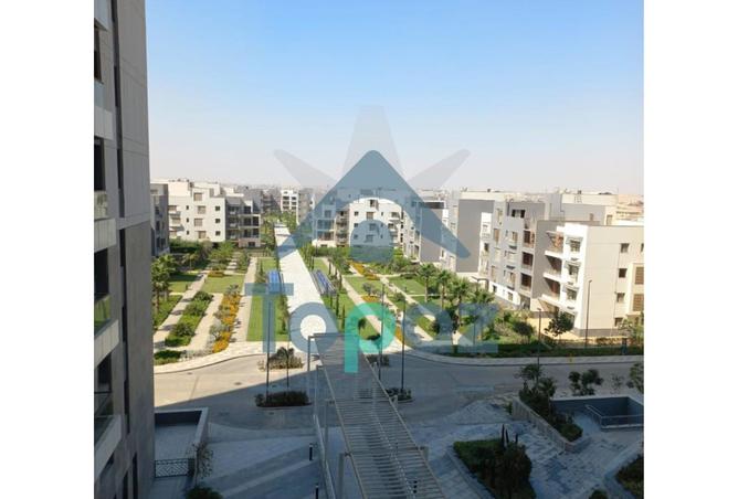 7935350 - صورة العقار 3