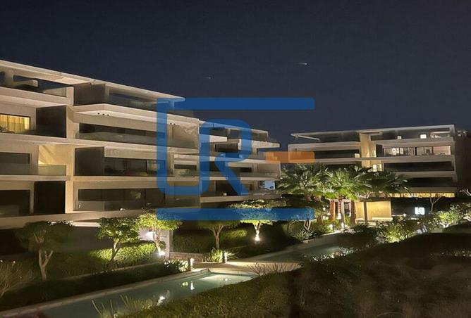 8162651 - Property Image 3