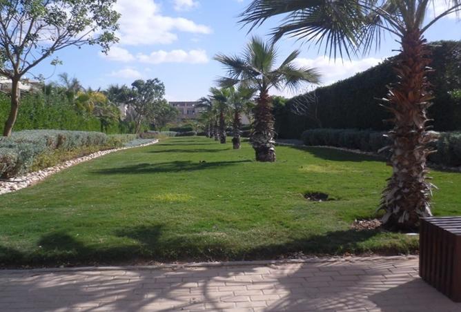 8078731 - صورة العقار 2