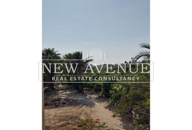 8091553 - Property Image 3