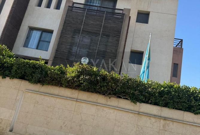 8278357 - Property Image 3