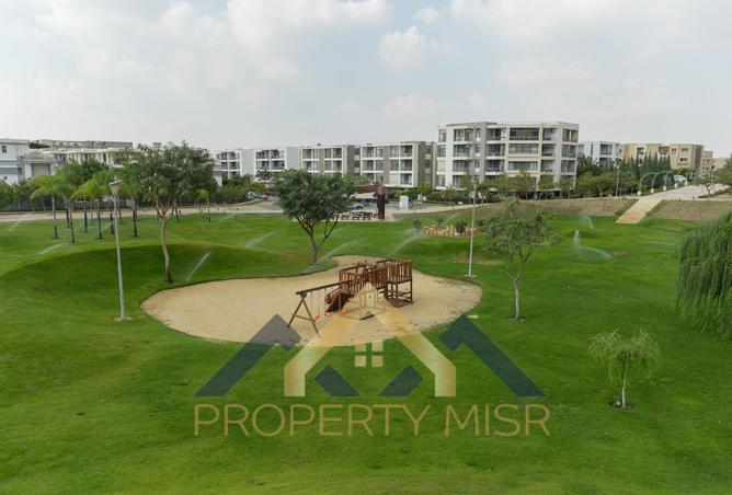 8452839 - Property Image 3