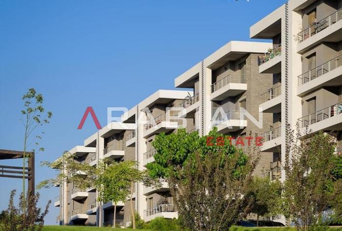 8331333 - Property Image 3