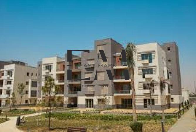 8446765 - Property Image 3