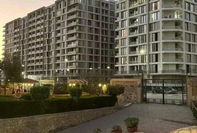 8246586 - Property Image 3