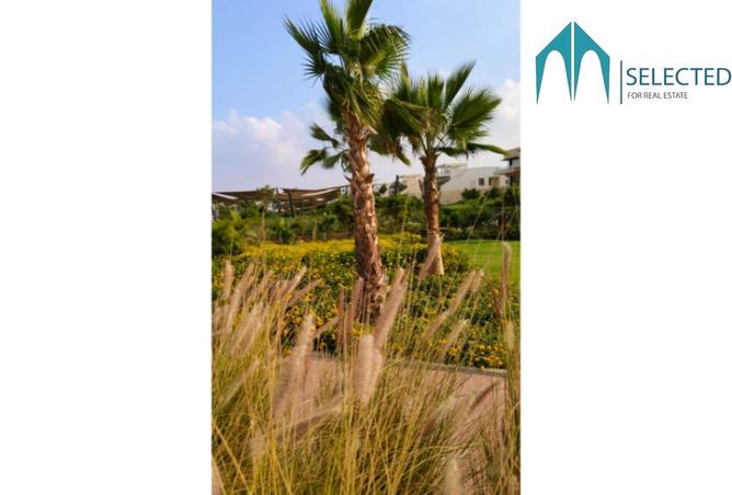 8360127 - Property Image 2