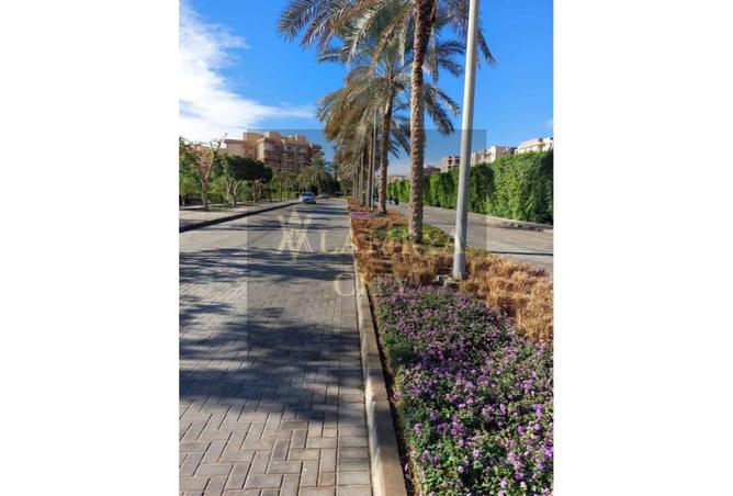 8135067 - صورة العقار 3
