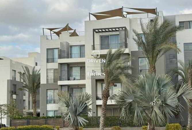 8388325 - صورة العقار 2