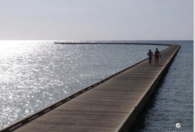 8296851 - Property Image 3