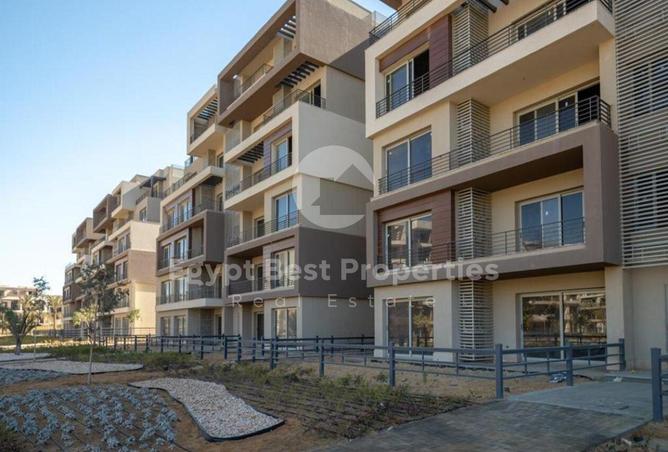 8428649 - Property Image 3