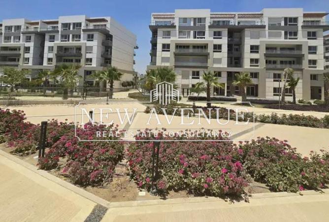 8356889 - Property Image 3