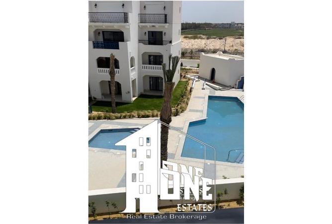 8340439 - Property Image 2