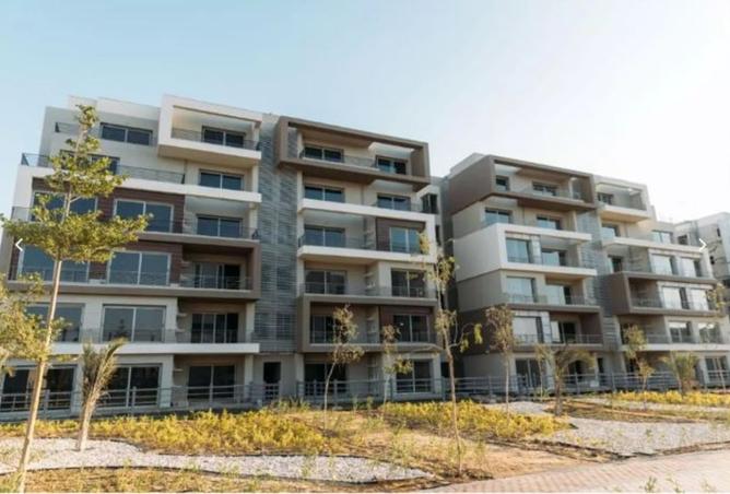 8148594 - Property Image 2