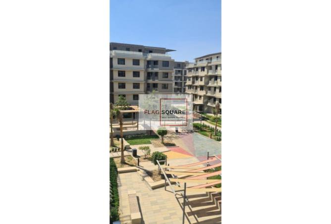 8009721 - صورة العقار 3