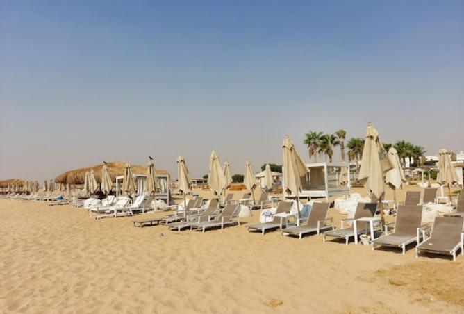 8449804 - صورة العقار 3