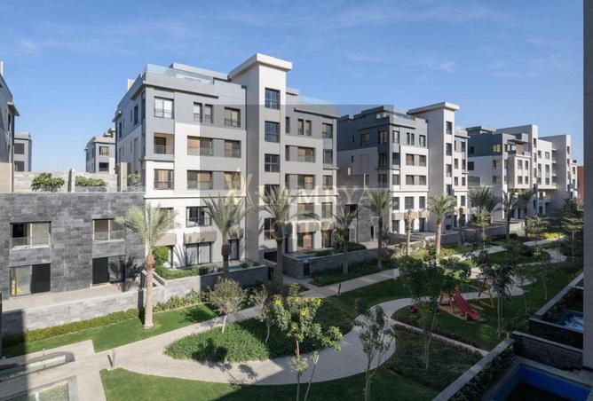 8082645 - Property Image 3