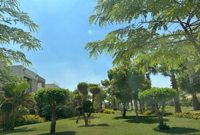 7988989 - Property Image 3