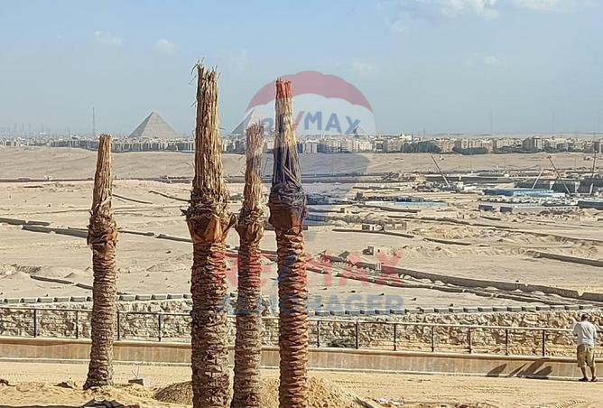 8473596 - Property Image 3