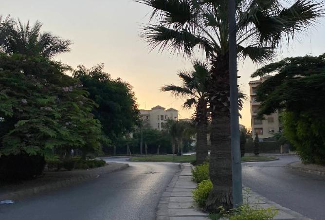 7997932 - صورة العقار 3