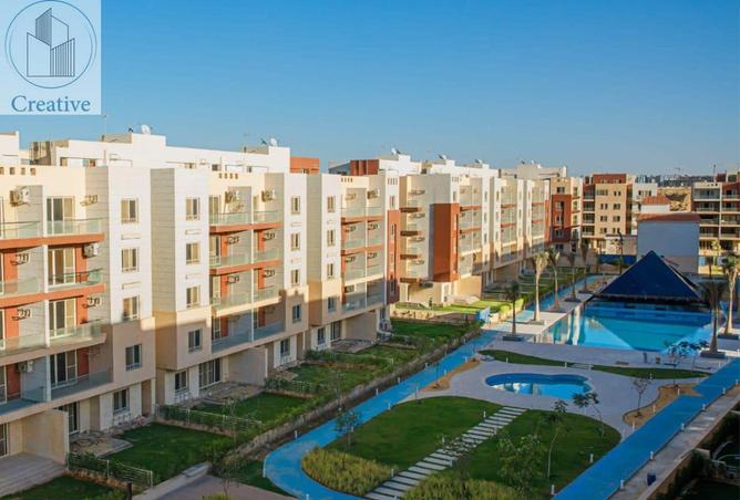 8377551 - Property Image 3