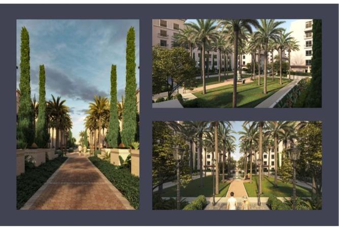 7929864 - Property Image 3
