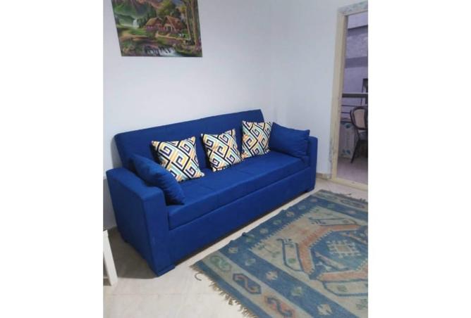7996529 - Property Image 3