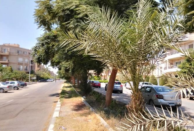7959279 - صورة العقار 2