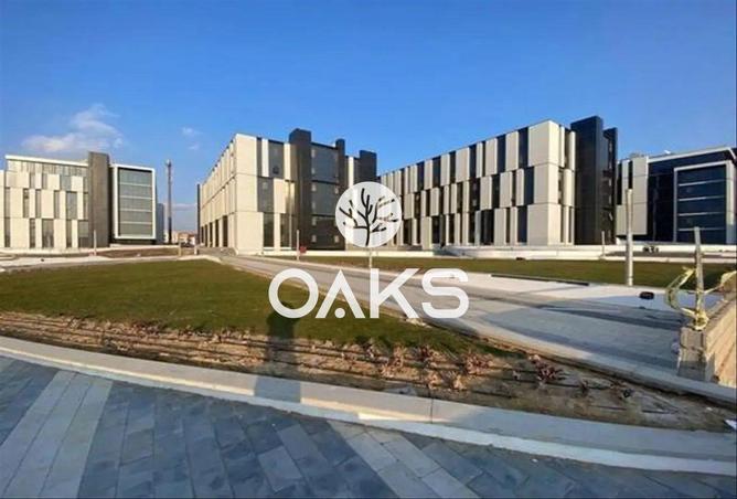 8138376 - Property Image 3