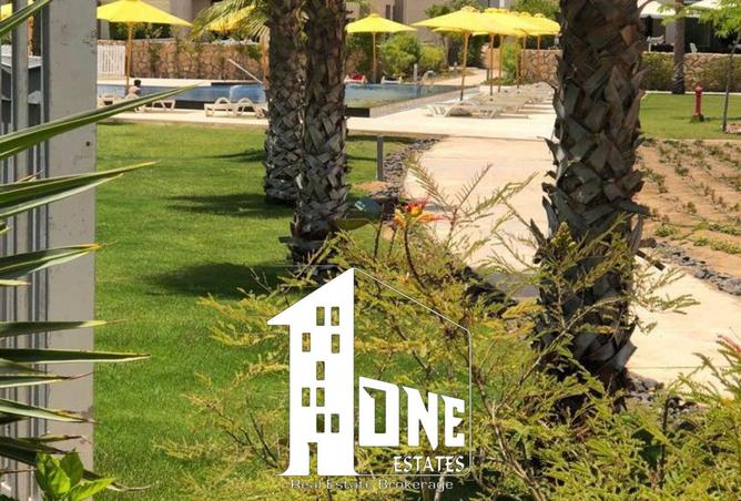 8440601 - Property Image 3