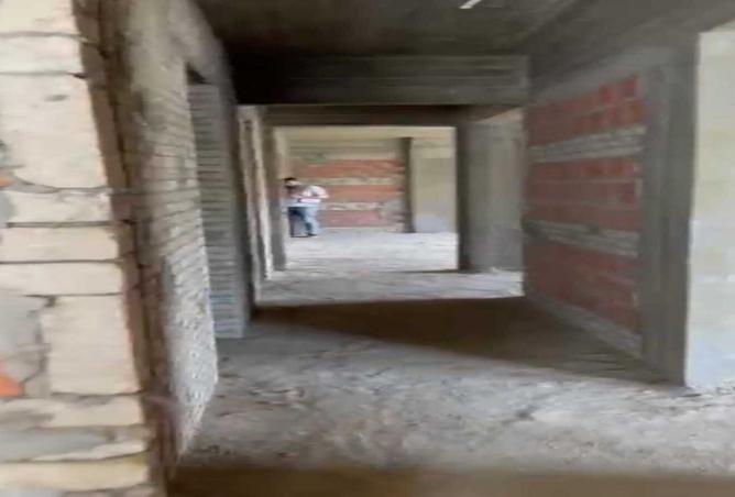 8146881 - Property Image 3