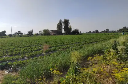 Land - Studio for sale in Cairo Alexandria Desert Road - 6 October City - Giza