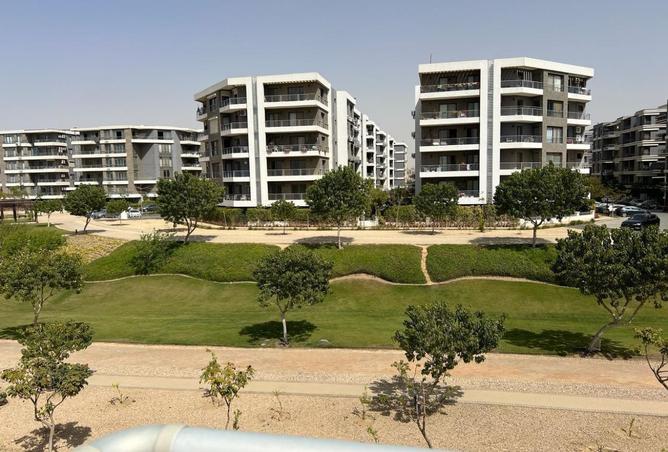 8008006 - صورة العقار 3