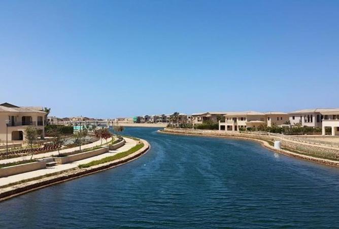 7962674 - صورة العقار 3