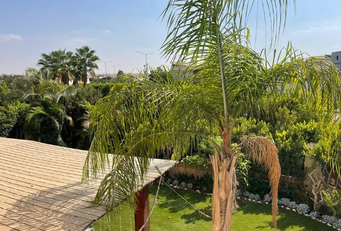 7886276 - صورة العقار 3