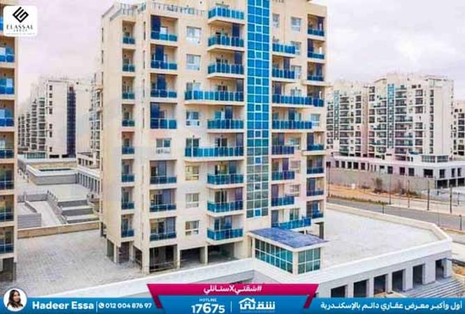 8386465 - Property Image 2