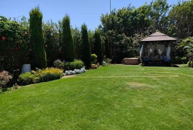 8004942 - Property Image 3