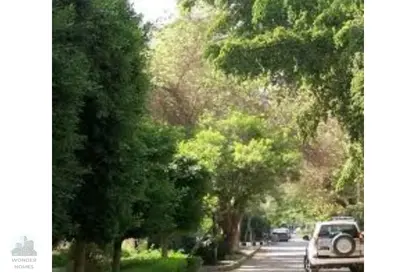 Office Space - Studio - 1 Bathroom for sale in Degla Square - Degla - Hay El Maadi - Cairo