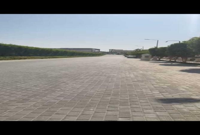 8031319 - صورة العقار 2