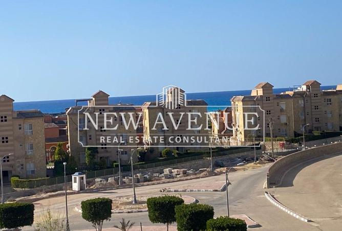 8195623 - Property Image 2