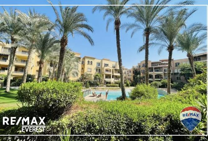 8424903 - Property Image 3