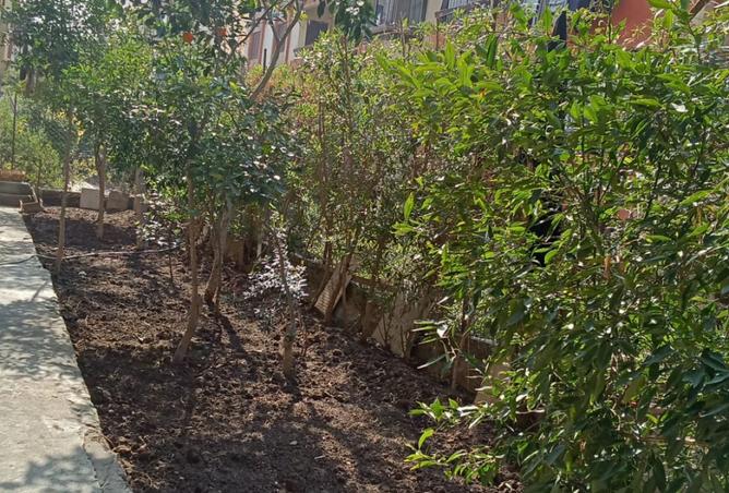 8551650 - صورة العقار 3